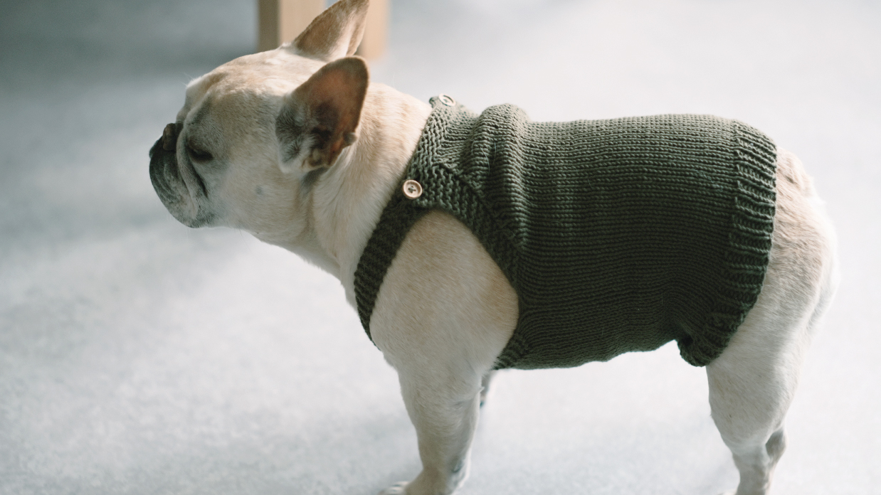フレンチブルドッグ用手編み服｜やさしい毛糸と丁寧なものづくり | GRACIA DOGGO